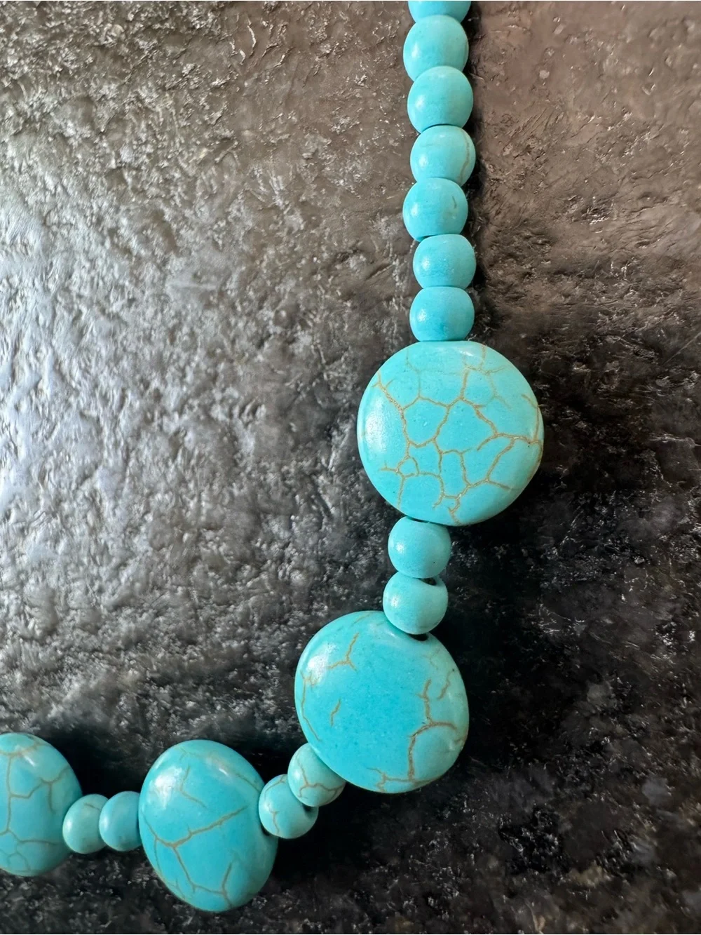 NWOT Tuckernuck Turquoise Coin Necklace